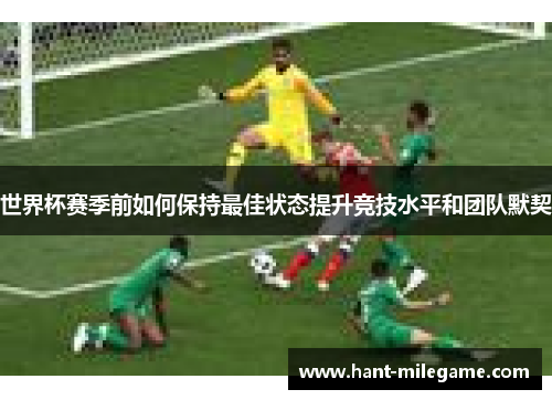 世界杯赛季前如何保持最佳状态提升竞技水平和团队默契 世界杯赛季前如何保持最佳状态提升竞技水平和团队默契